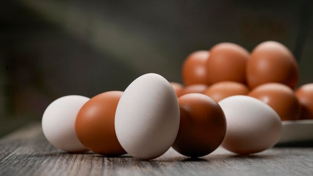 Chicken egg 