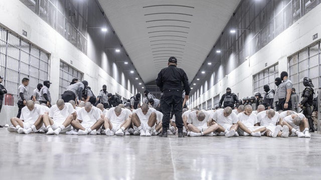 In this photo released by the Salvadoran government, inmates allegedly linked to criminal organizations and deported from the U.S. gather on the floor at CECOT in Tecoluca, El Salvador, on March 16, 2025. 